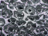 aluminium metallic foam